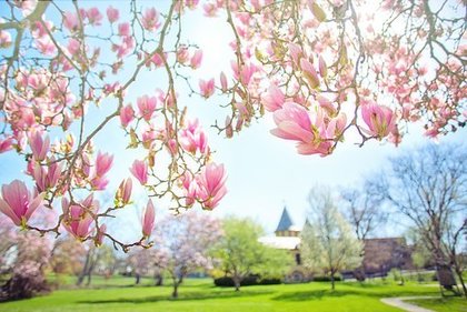 振り幅の大きな2020年★ダメージは強さになって返ってくる♡