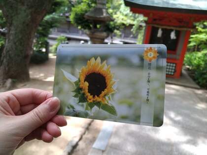 今日あなたに届けるメッセージ★｢開花｣Ｂｅアップオリジナルオラクルカードより